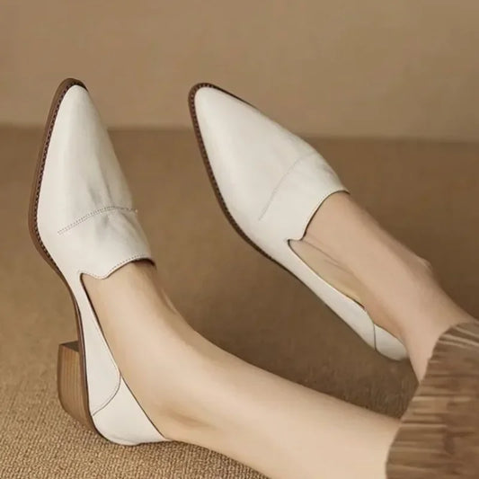 Pointed Toe Retro Shoes