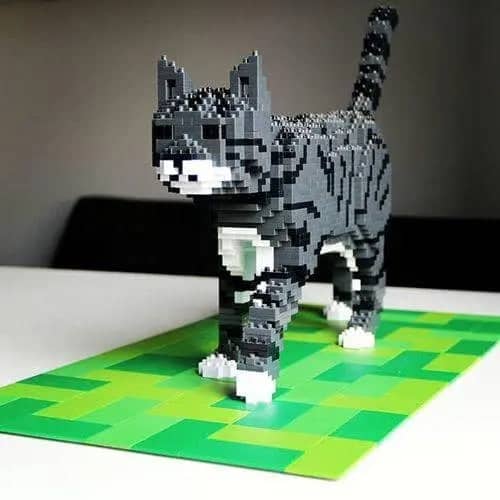 Tabby Cat
