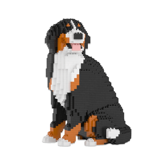 Bernese Mountain Dog