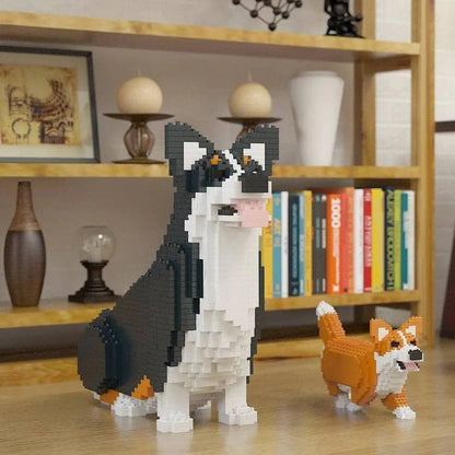 Welsh Corgi