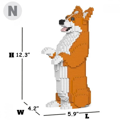 Welsh Corgi
