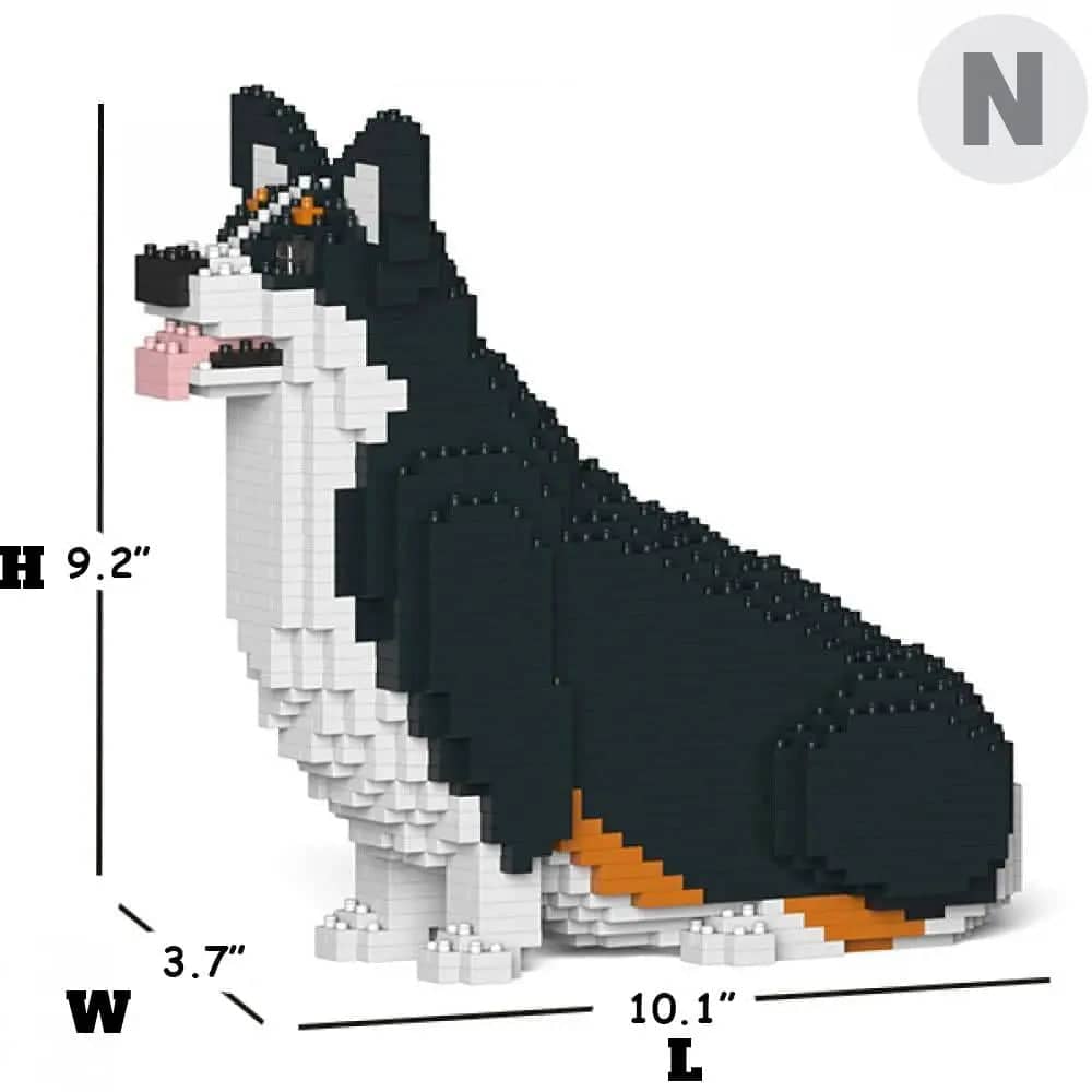 Welsh Corgi