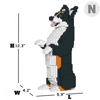 Welsh Corgi