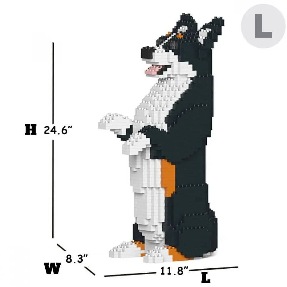 Welsh Corgi