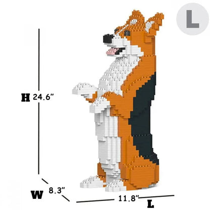Welsh Corgi