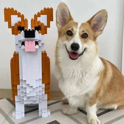 Welsh Corgi