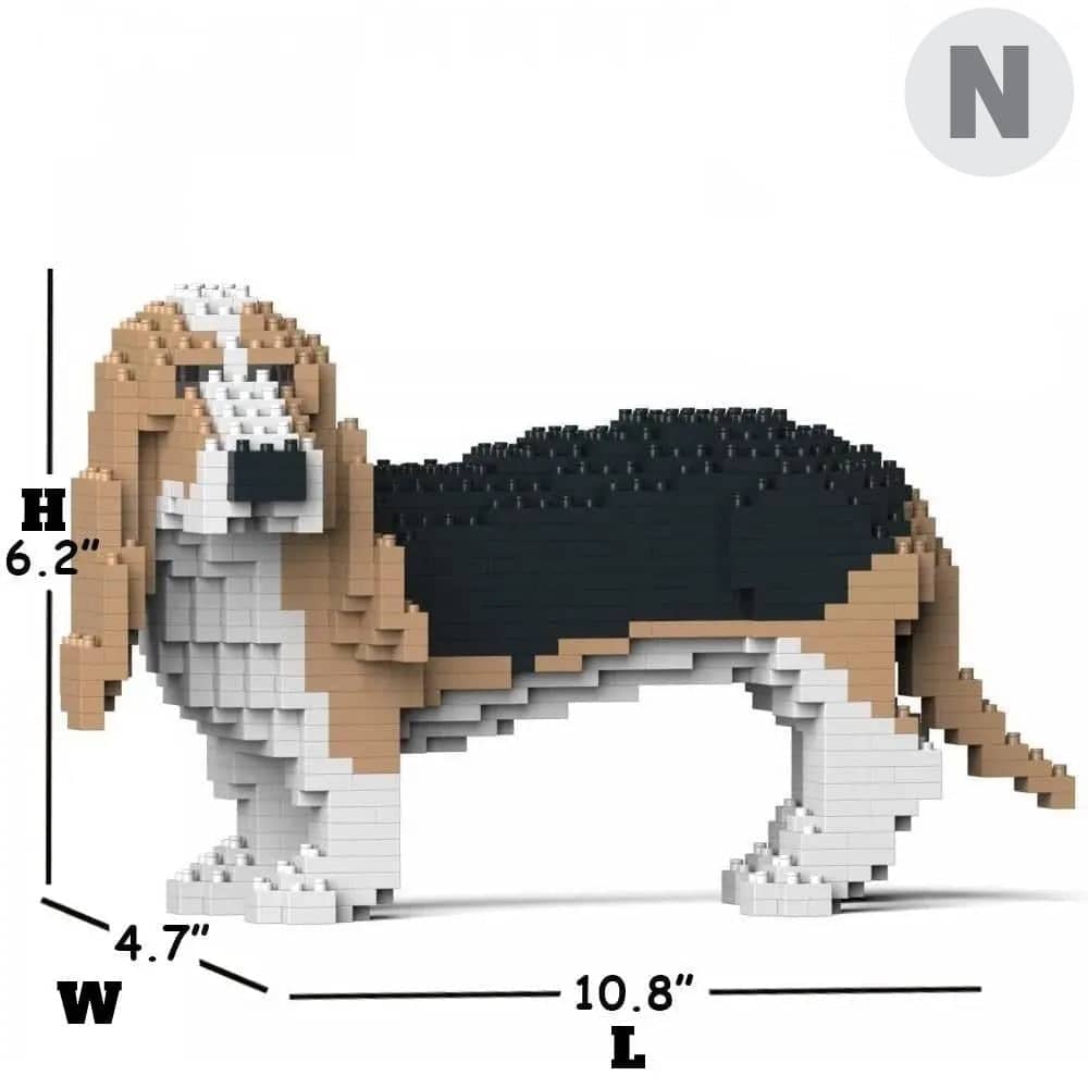 Basset Hound