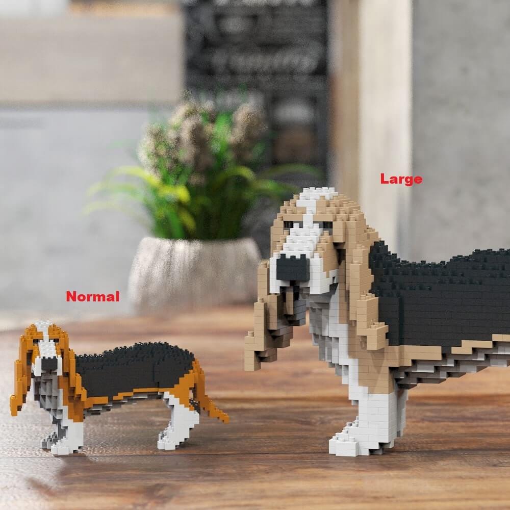 Basset Hound