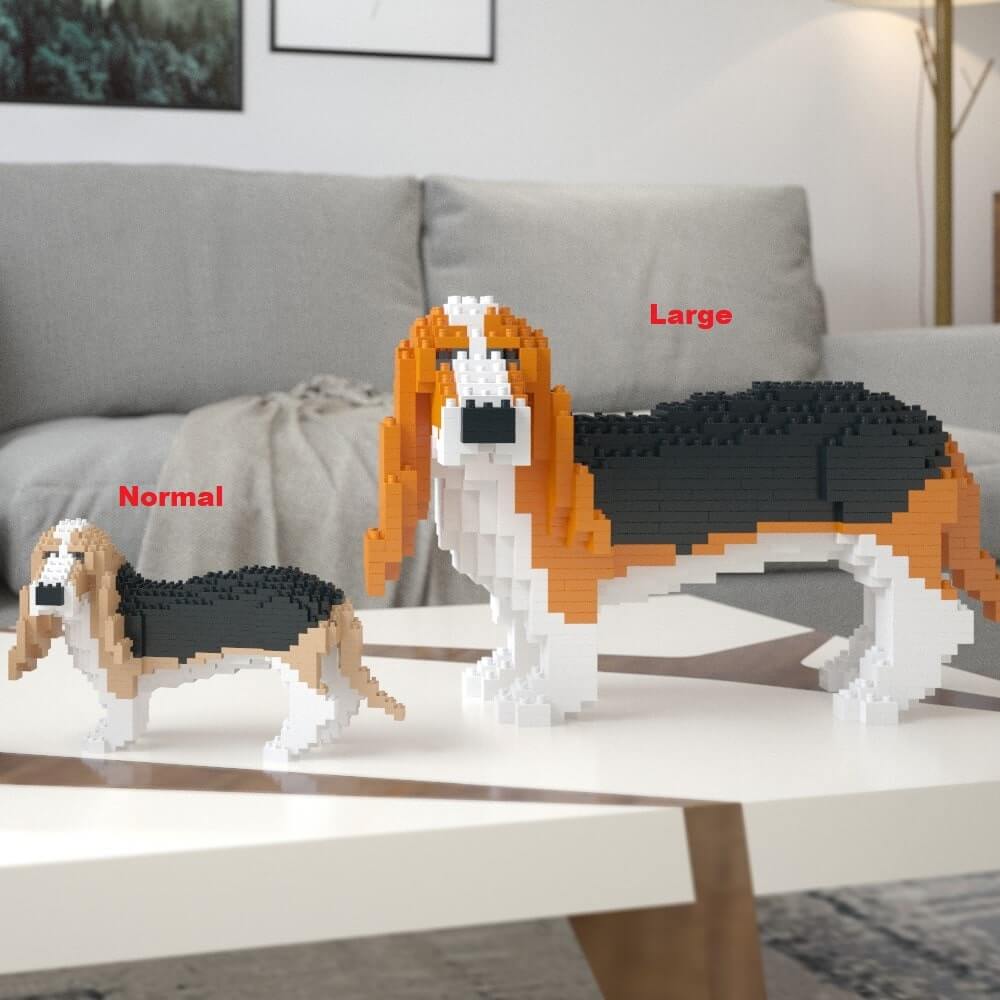 Basset Hound