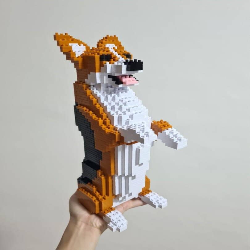 Welsh Corgi