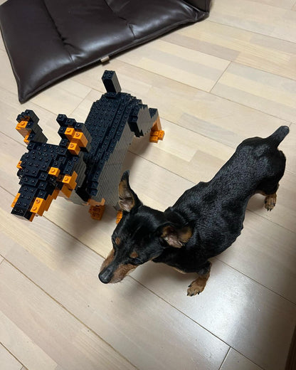 Miniature Pinscher