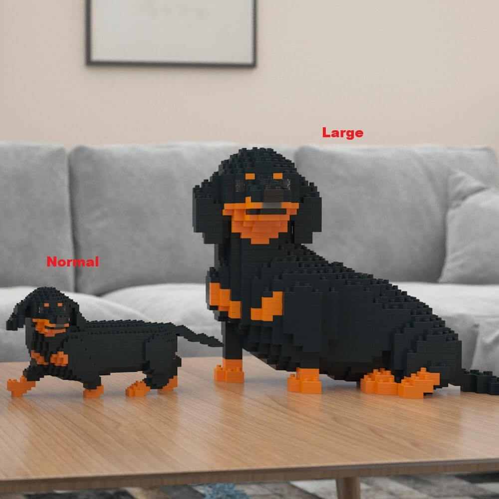 Dachshund
