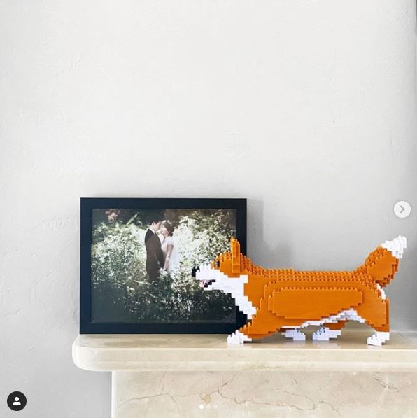 Welsh Corgi