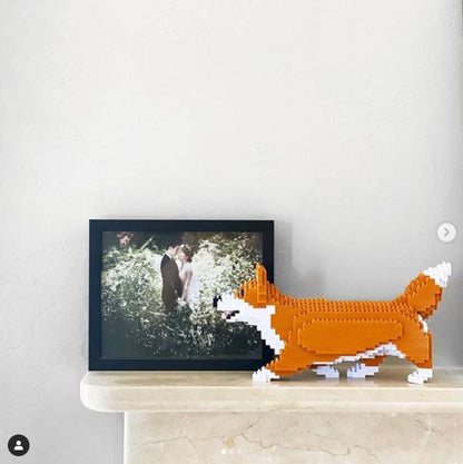 Welsh Corgi